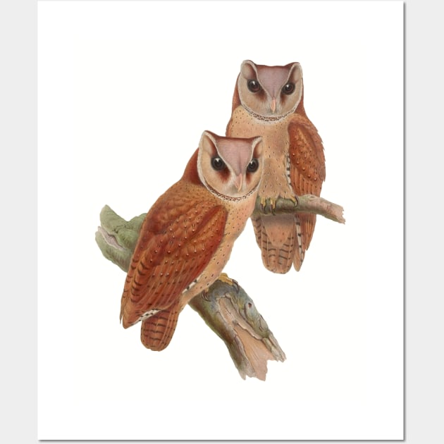 Pair of Owls Painting Wall Art by PatrioTEEism